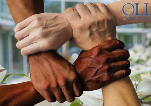 OLLI logo with joining hands photo