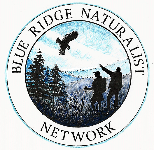 Inner circle with two hiker win the mountains, pointing wards a large flying bird; outer circle includes the text Blue Ridge Naturalist Network